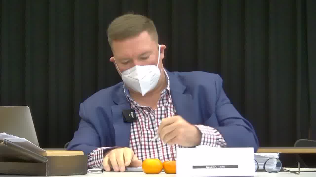 Séance du 22 mars 2021